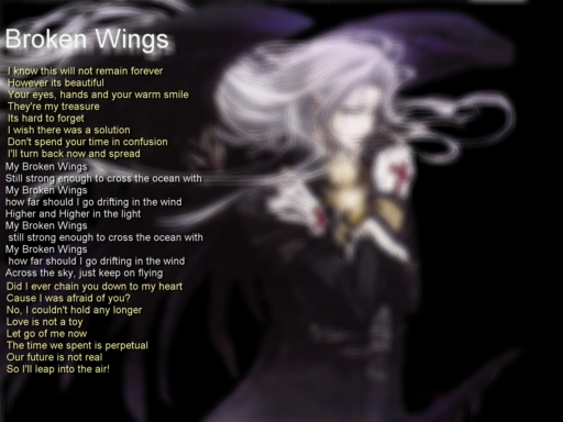 X~My Broken Wings~X