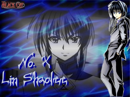 Number X ~ Lin Shaolee