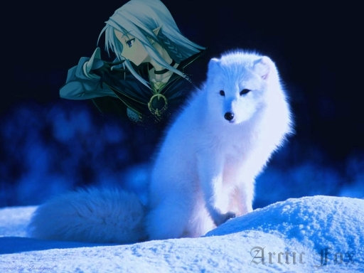 Arcticfox Spirit