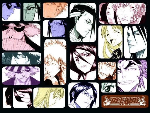 Bleach