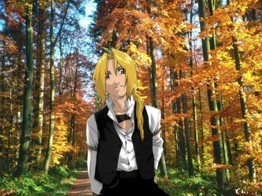 Ed In The Forest