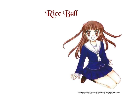 Rice Ball