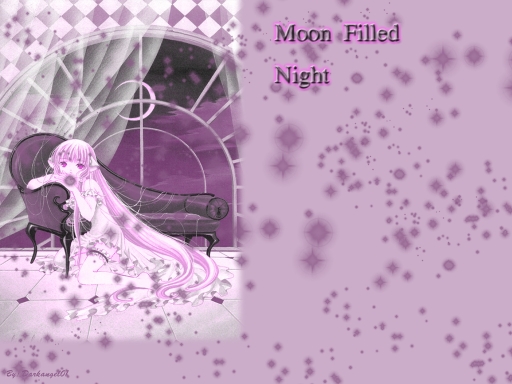 Moon Filled Night