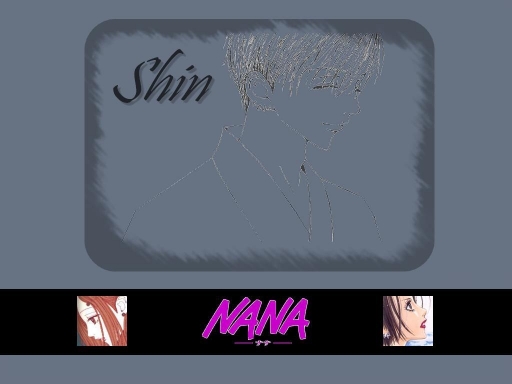 Shin