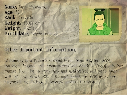 Shikamaru's Identity