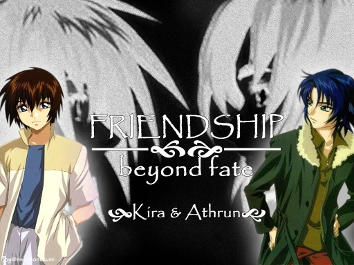 Friendship Beyond Fate