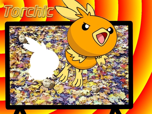 Torchic, Always Ready... To Pl