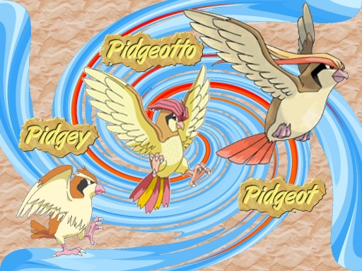 Pidgey Pidgeotto Pidgeot
