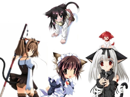 Neko Gang