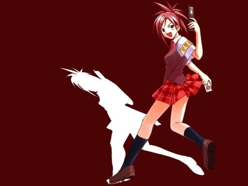 Negima6