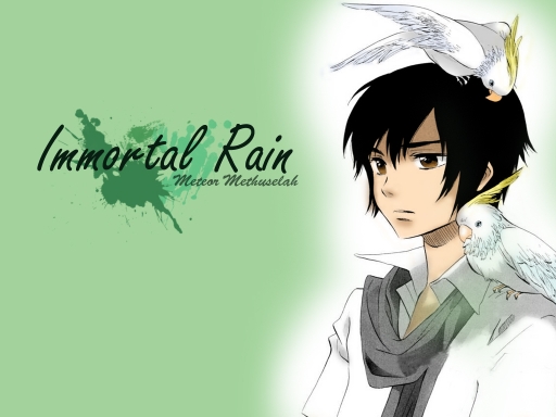 Y's - Immortal Rain