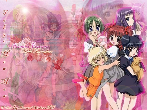 Tokyo Mew Mew -friends