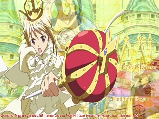 Chara Nari Platinum Royal