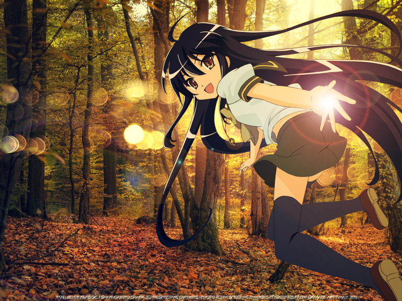 (C.o.M.E) with [m.E~]