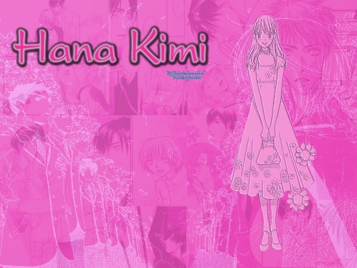 Hana Kimi Wall  2