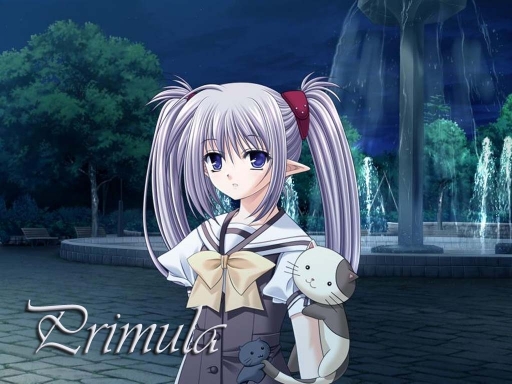 Primula