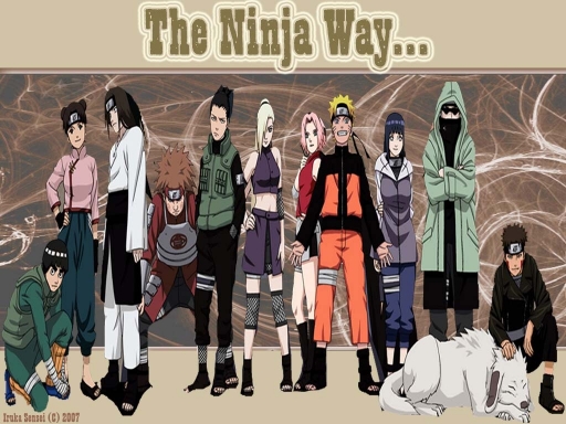 The Ninja Way