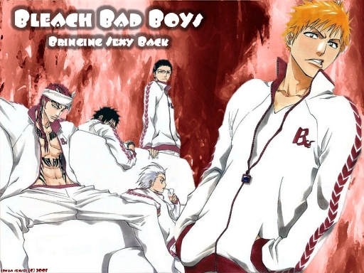 Bleach Bad Boys