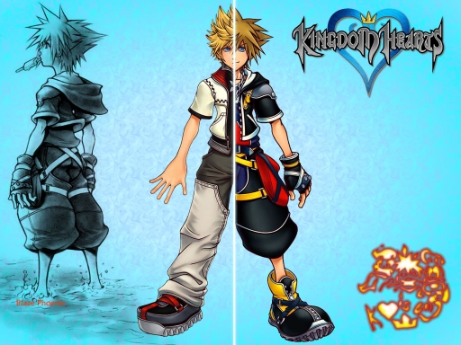 Roxas/sora
