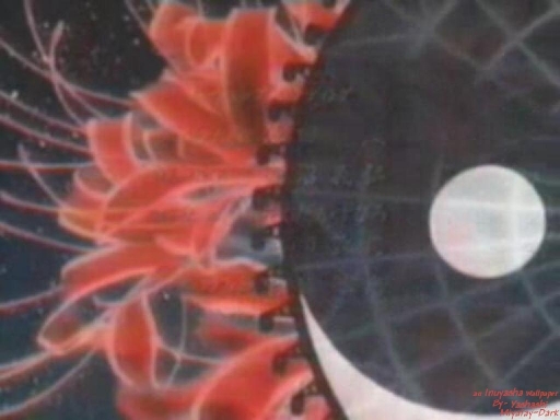 Inuyasha Wallpaper#9