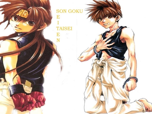 Goku And Sage