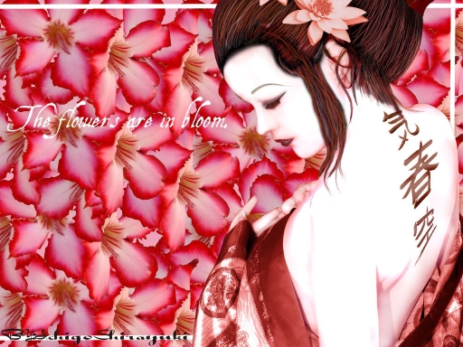 the flowers are in bloom