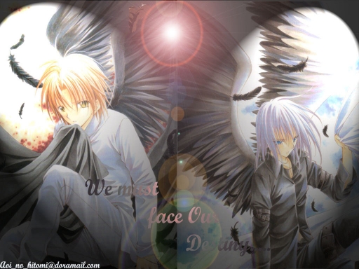 We must face our destiny