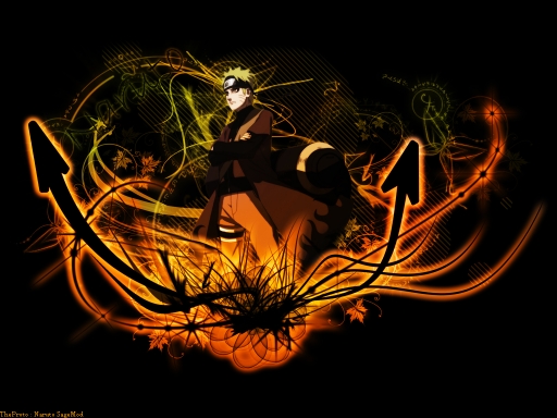 Naruto - Sage