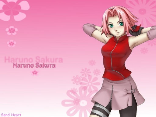 Sakura in the pink