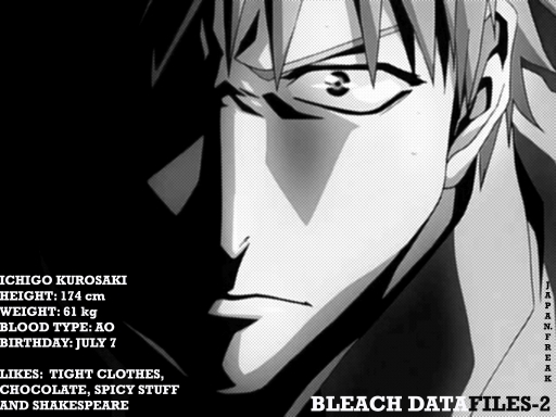 Bleach Datafile-2