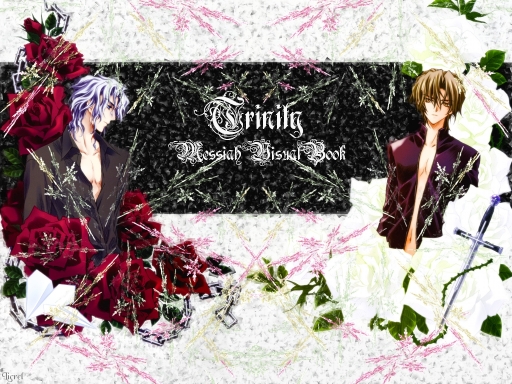 Trinity Messiah Visualbook 11