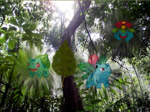 The 1st Grass Starters