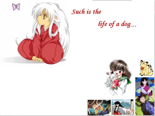 Such is the life of a dog