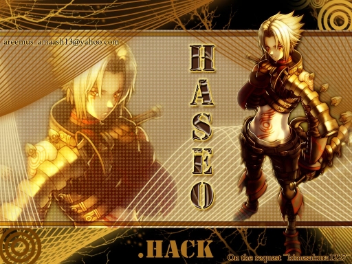 Haseo-walle 4 Hime