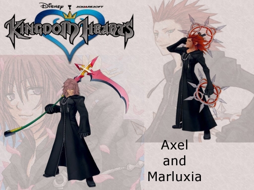 Axel and Marluxia