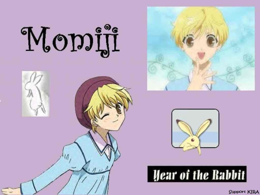 Year of the Rabbit (Momiji Soh
