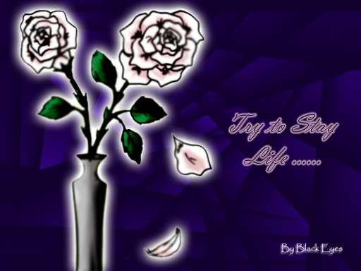 Try to Stay Life ....