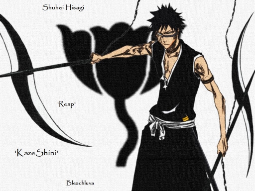 Shuhei Hisagi
