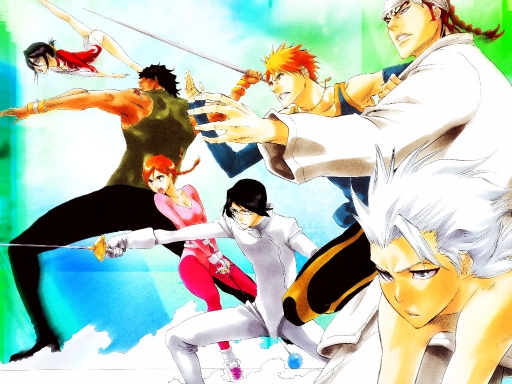 Bleach_sports