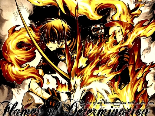 Flames of DETERMINATION