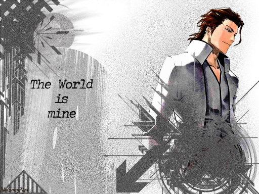 Aizen's world