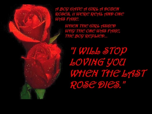 The Last Rose