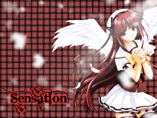 Sensational Angel