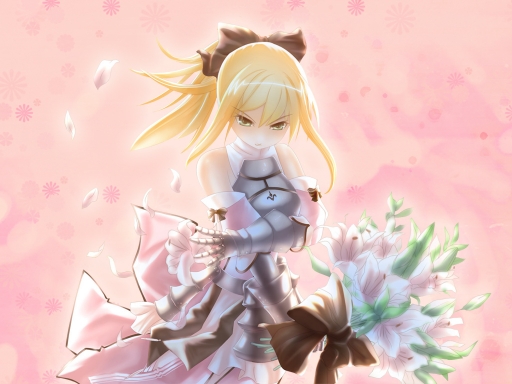 Fate Unlimited Saber Lily