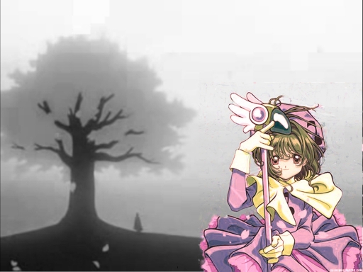 sakura  and the tree