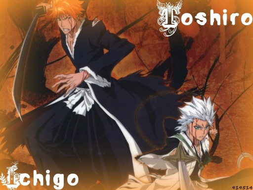 Ichigo and Toshiro