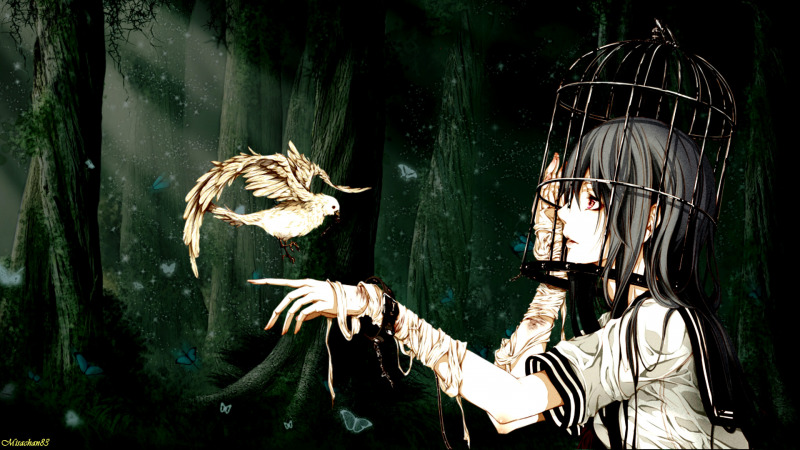 Light Through the Darkness