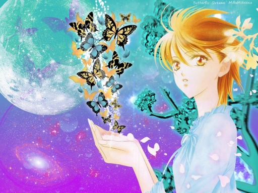 Butterfly  Dreams