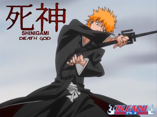 Ichigo1230
