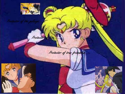 Sailor moon protects